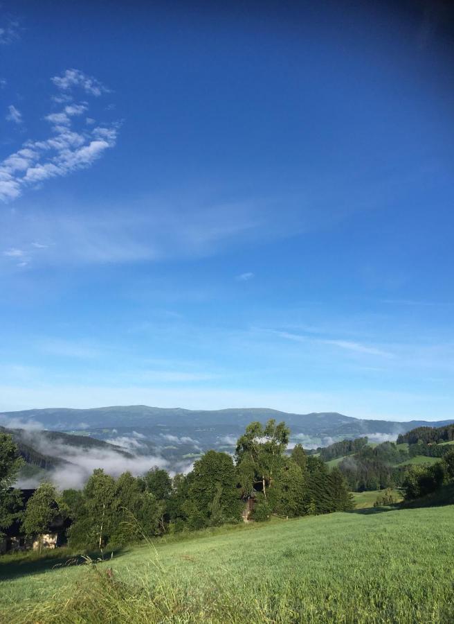 Naturforsthaus Ferienwohnung Fuer Hunde- Und Tierverbundene Menschen Preitenegg Exterior foto